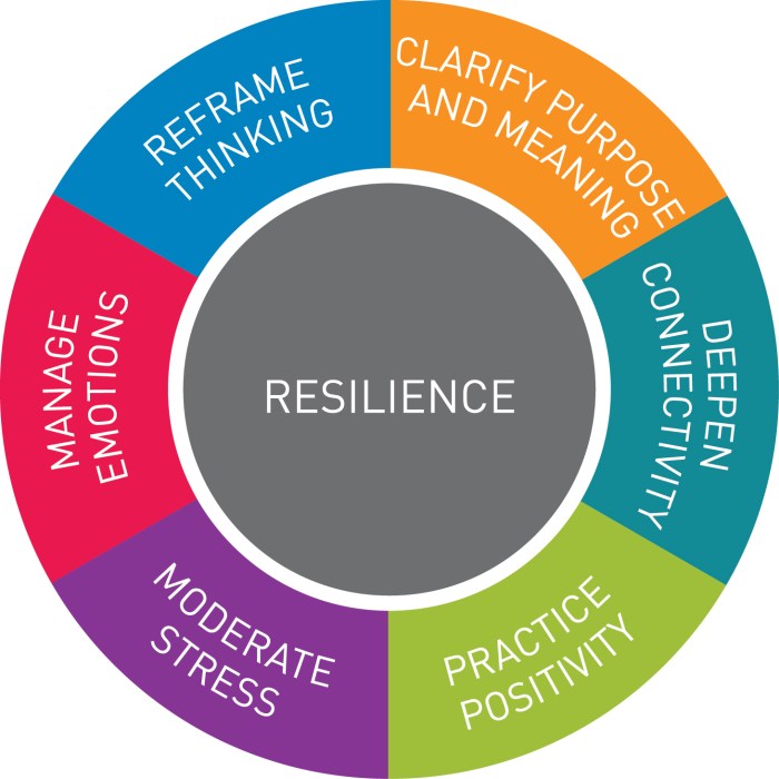 Resilience infographic motivation skill